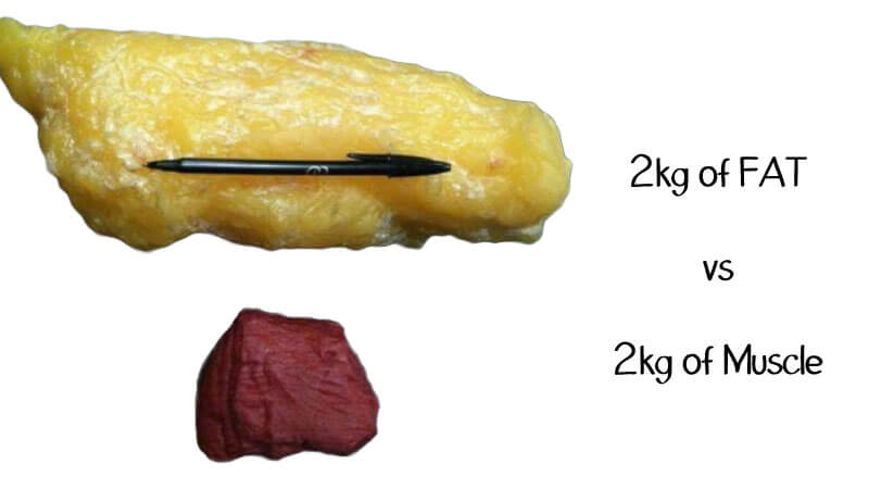 2kg fat vs 2kg muscle comparison