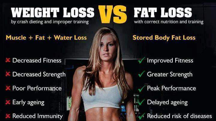 fat versus muscle weight