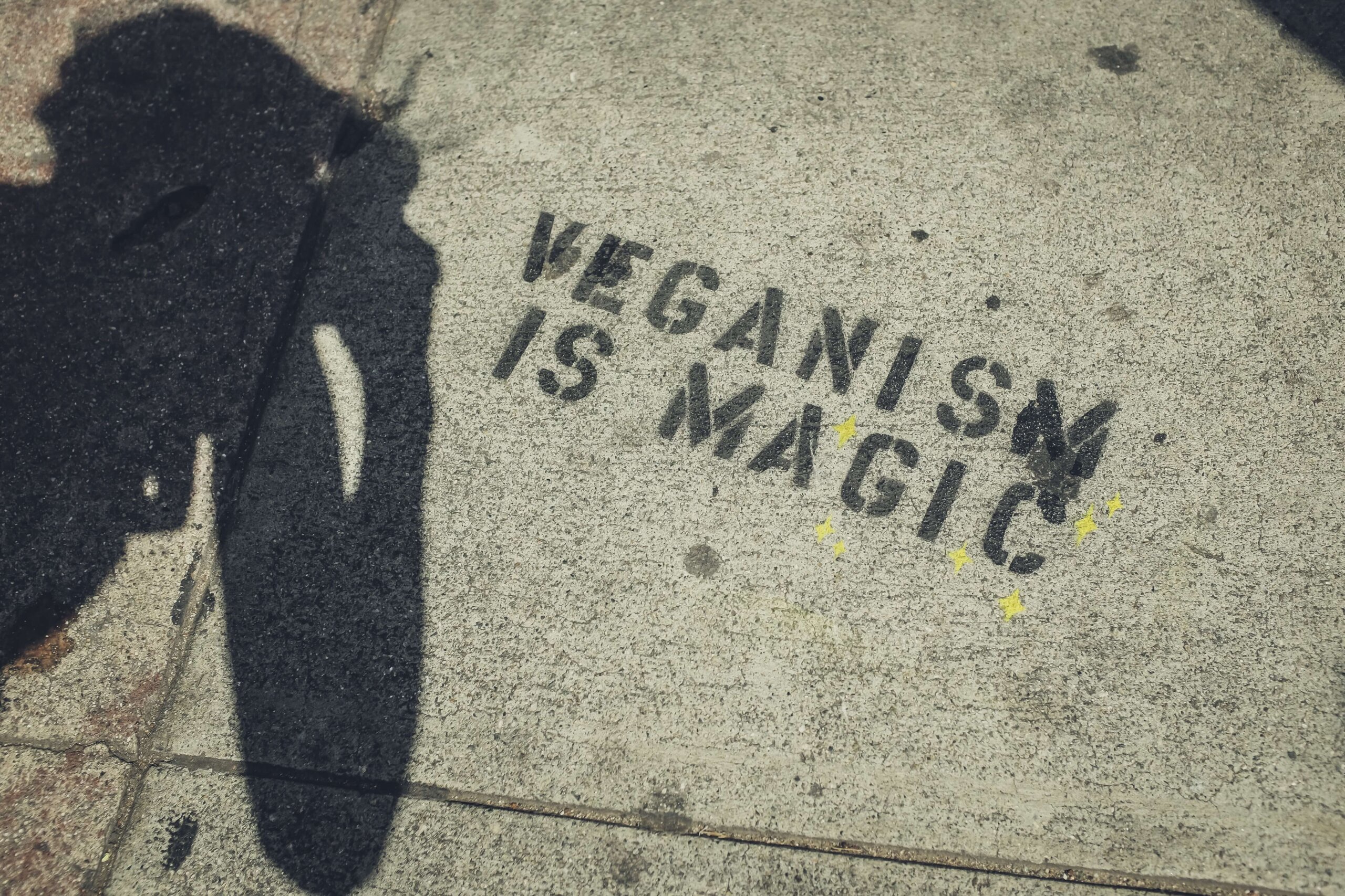 vegan magic