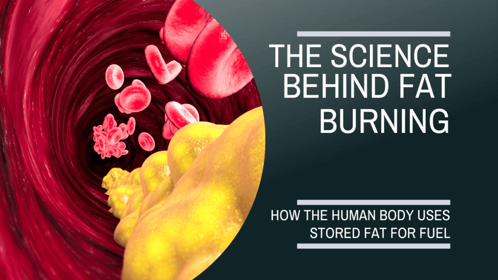 the-science-behind-burning-fat-nutriwise