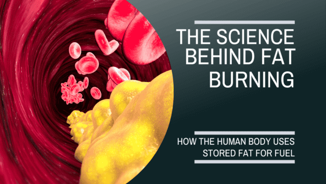 the science of fat burning