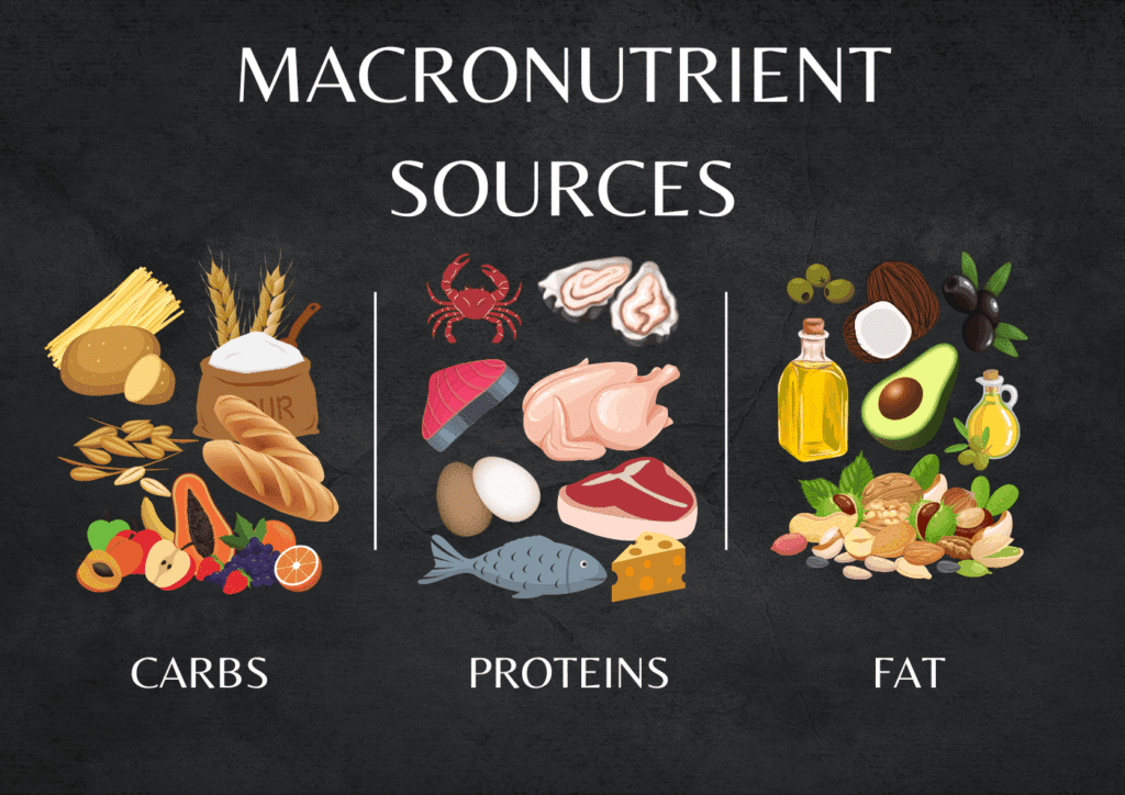 macronutrient sources