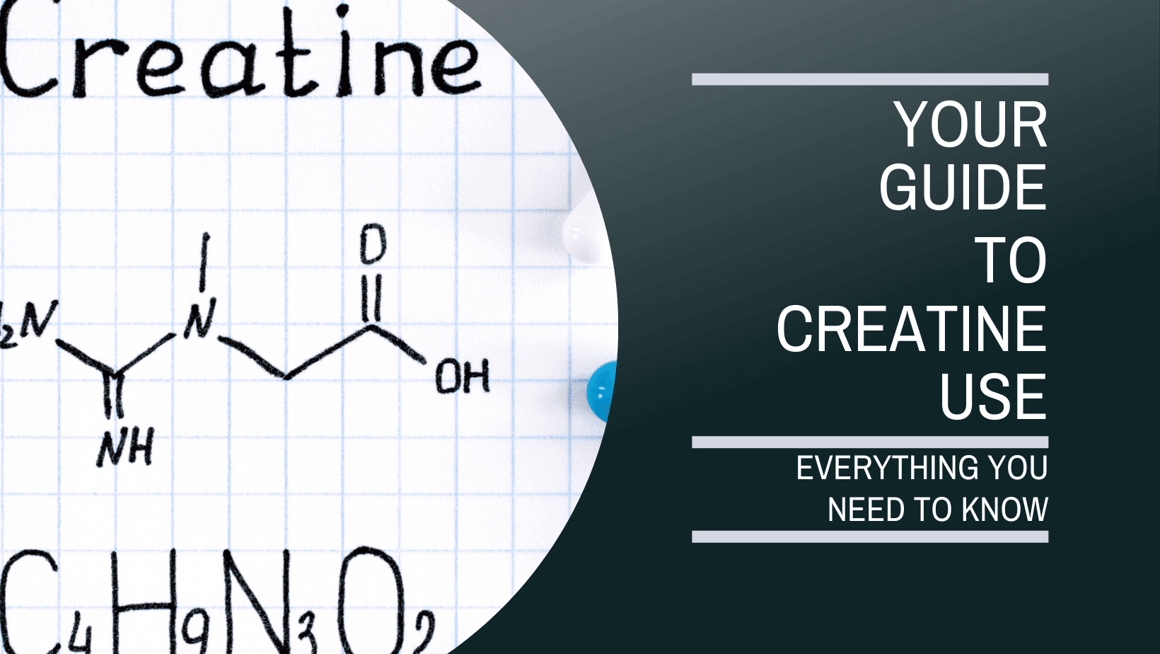 guide to creatine