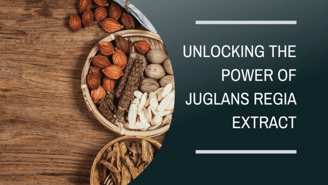 english walnut juglans regia extract
