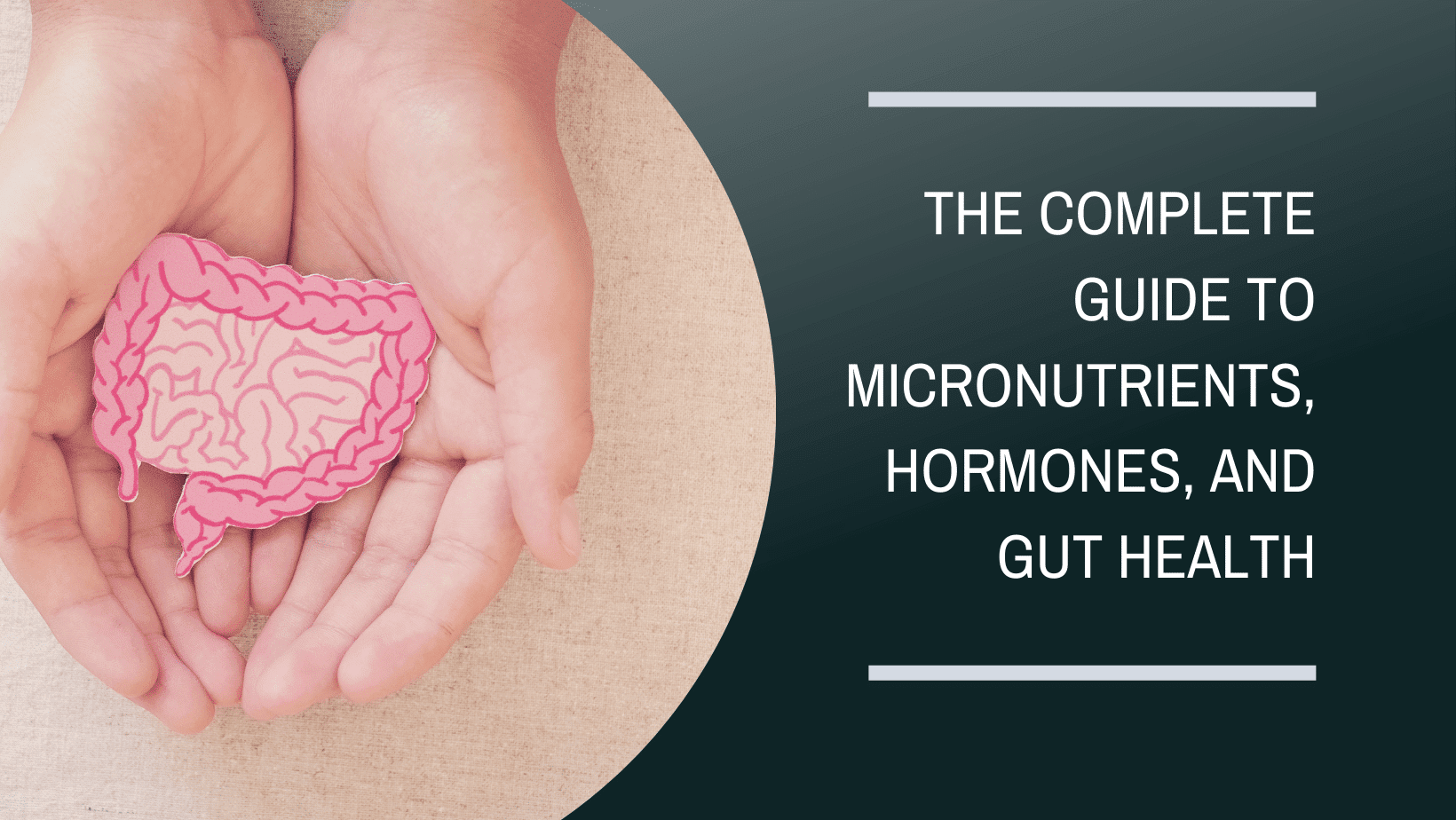 gut health guide